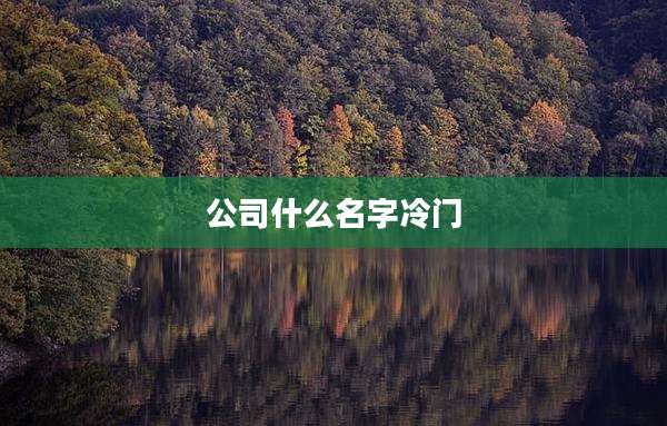 公司什么名字冷门