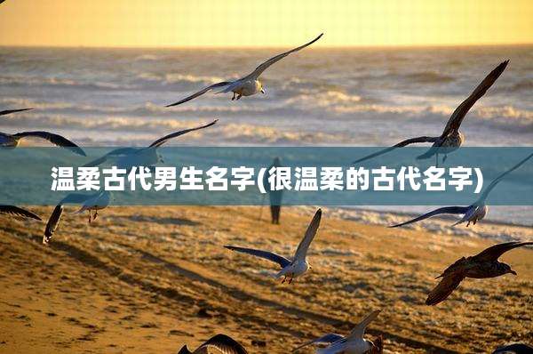 温柔古代男生名字(很温柔的古代名字)