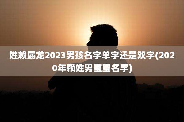 姓赖属龙2023男孩名字单字还是双字(2020年赖姓男宝宝名字)