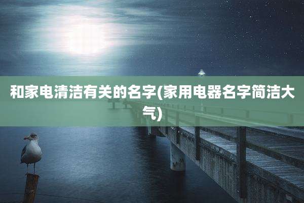 和家电清洁有关的名字(家用电器名字简洁大气)