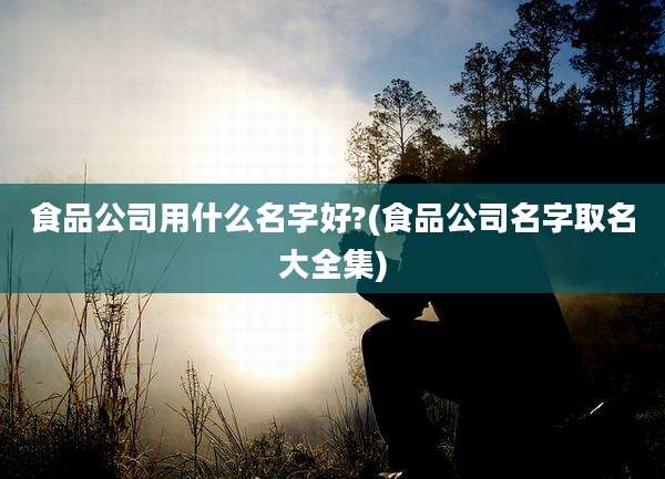 食品公司用什么名字好?(食品公司名字取名大全集)