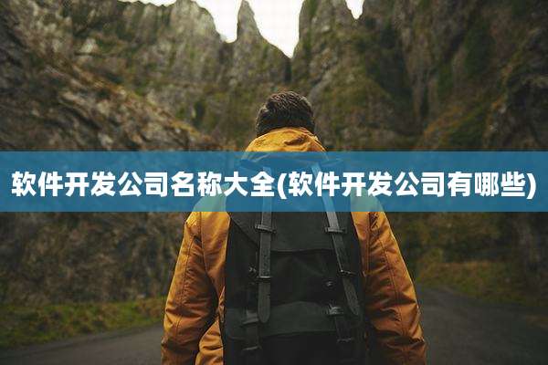 软件开发公司名称大全(软件开发公司有哪些)