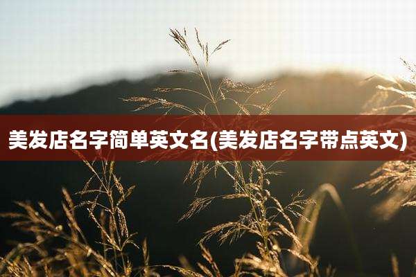 美发店名字简单英文名(美发店名字带点英文)