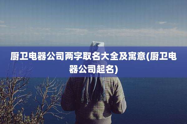 厨卫电器公司两字取名大全及寓意(厨卫电器公司起名)