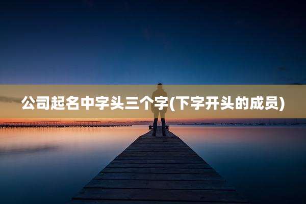 公司起名中字头三个字(下字开头的成员)