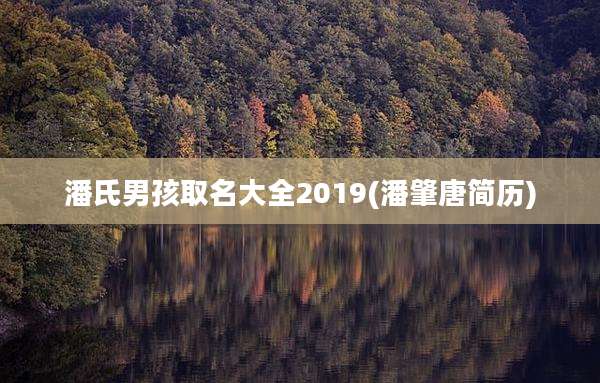 潘氏男孩取名大全2019(潘肇唐简历)