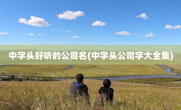中字头好听的公司名(中字头公司字大全集)
