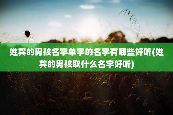 姓龚的男孩名字单字的名字有哪些好听(姓龚的男孩取什么名字好听)
