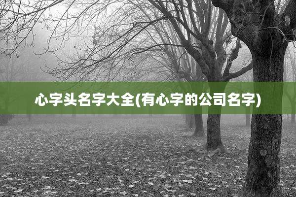 心字头名字大全(有心字的公司名字)