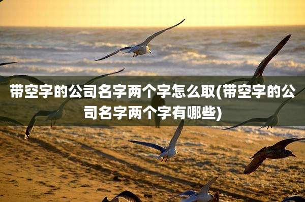 带空字的公司名字两个字怎么取(带空字的公司名字两个字有哪些)