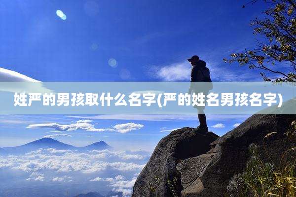 姓严的男孩取什么名字(严的姓名男孩名字)
