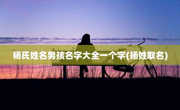 杨氏姓名男孩名字大全一个字(扬姓取名)
