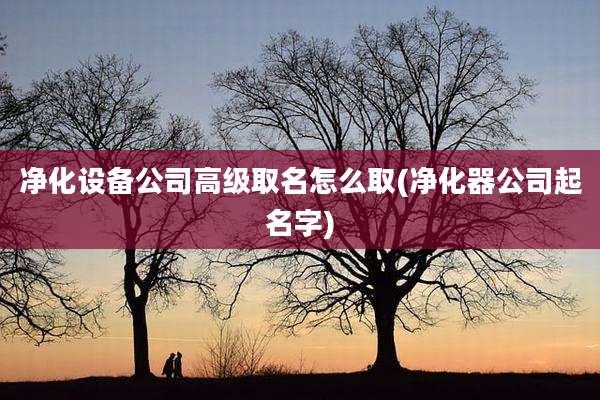 净化设备公司高级取名怎么取(净化器公司起名字)