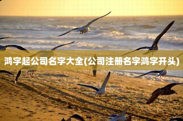 鸿字起公司名字大全(公司注册名字鸿字开头)