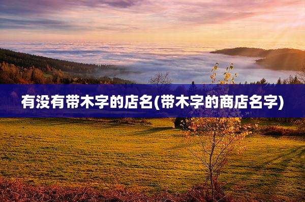 有没有带木字的店名(带木字的商店名字)