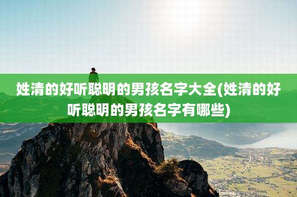 姓清的好听聪明的男孩名字大全(姓清的好听聪明的男孩名字有哪些)