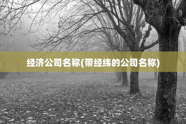 经济公司名称(带经纬的公司名称)