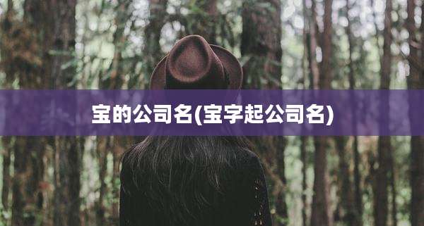 宝的公司名(宝字起公司名)