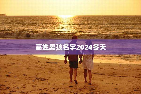 高姓男孩名字2024冬天