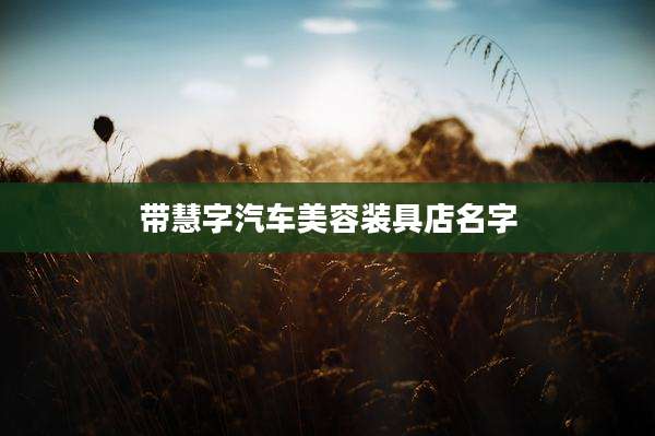 带慧字汽车美容装具店名字