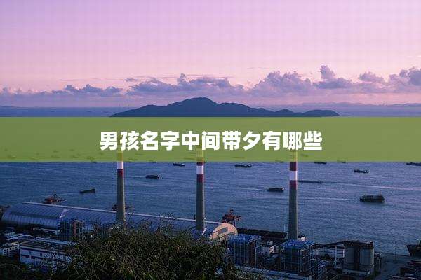 男孩名字中间带夕有哪些