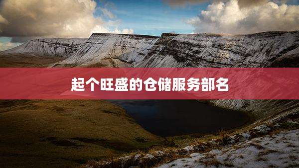 起个旺盛的仓储服务部名