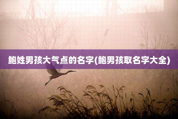 鲍姓男孩大气点的名字(鲍男孩取名字大全)