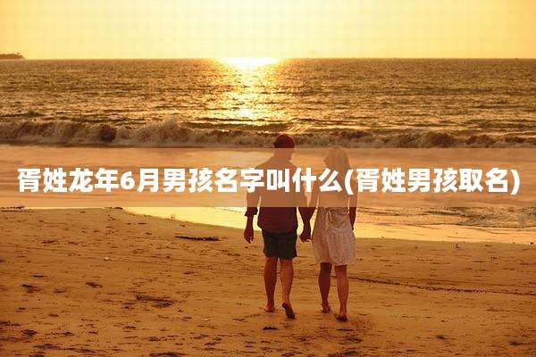 胥姓龙年6月男孩名字叫什么(胥姓男孩取名)