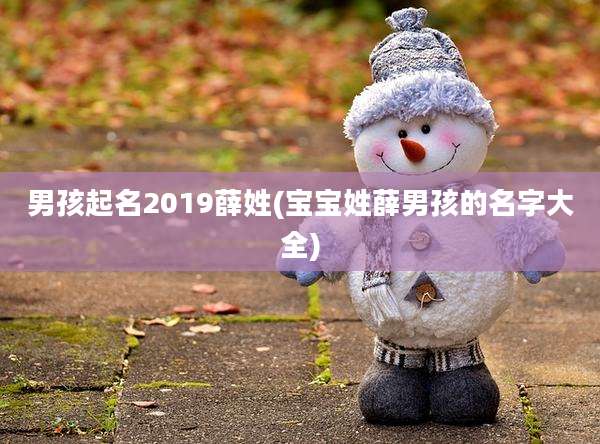 男孩起名2019薛姓(宝宝姓薛男孩的名字大全)