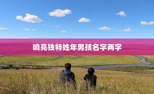 响亮独特姓年男孩名字两字