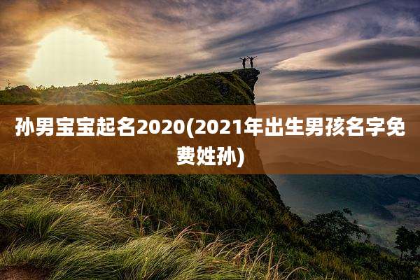 孙男宝宝起名2020(2021年出生男孩名字免费姓孙)