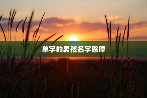 单字的男孩名字憨厚
