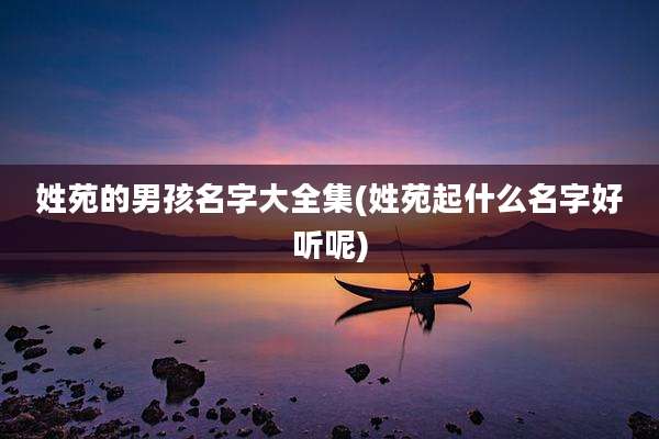 姓苑的男孩名字大全集(姓苑起什么名字好听呢)