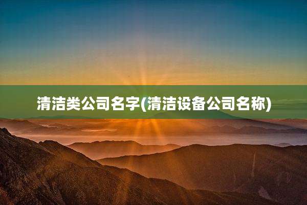 清洁类公司名字(清洁设备公司名称)