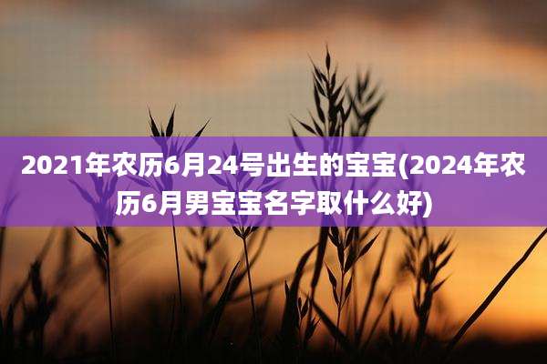2021年农历6月24号出生的宝宝(2024年农历6月男宝宝名字取什么好)