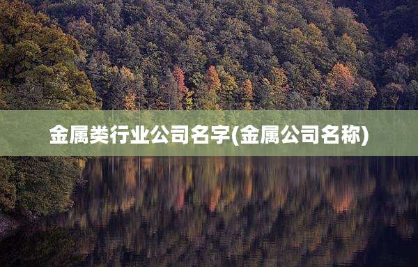 金属类行业公司名字(金属公司名称)