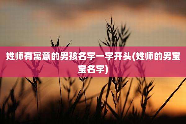 姓师有寓意的男孩名字一字开头(姓师的男宝宝名字)