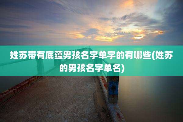 姓苏带有底蕴男孩名字单字的有哪些(姓苏的男孩名字单名)