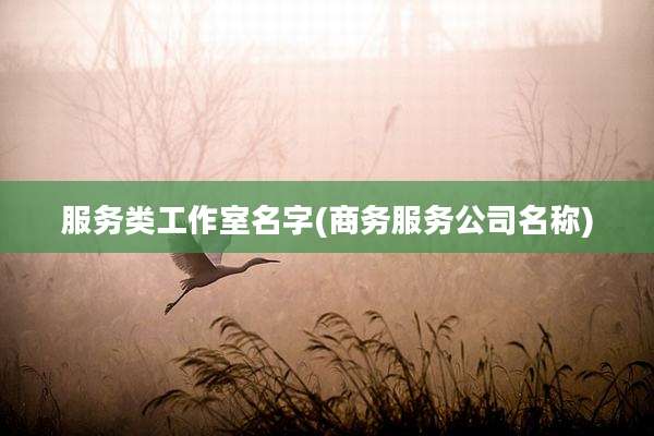 服务类工作室名字(商务服务公司名称)