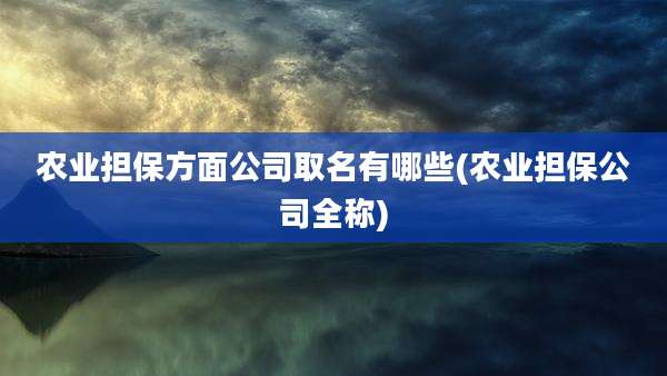 农业担保方面公司取名有哪些(农业担保公司全称)