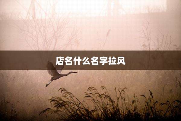 店名什么名字拉风