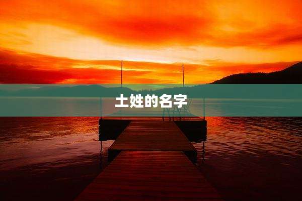土姓的名字