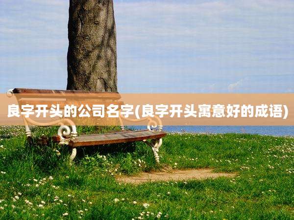 良字开头的公司名字(良字开头寓意好的成语)