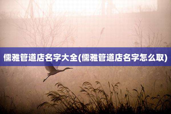 儒雅管道店名字大全(儒雅管道店名字怎么取)