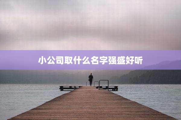 小公司取什么名字强盛好听