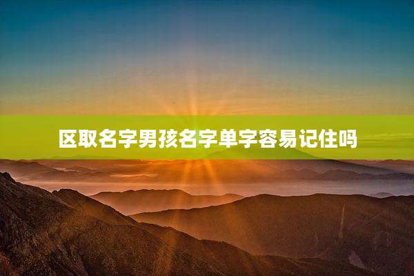 区取名字男孩名字单字容易记住吗