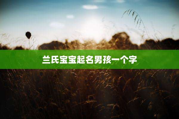 兰氏宝宝起名男孩一个字