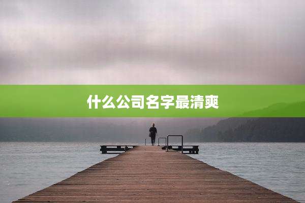 什么公司名字最清爽