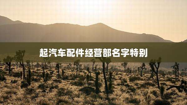 起汽车配件经营部名字特别