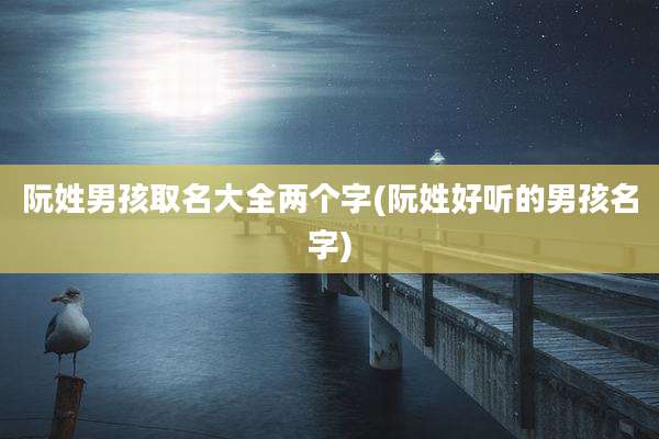阮姓男孩取名大全两个字(阮姓好听的男孩名字)